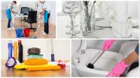 Mademoiselle Cleaning Services image 3