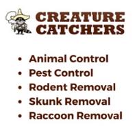 Creature Catchers image 1