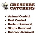 Creature Catchers logo