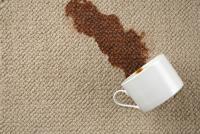 Waxler Carpet Cleaning Services image 1