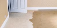 Outland Carpet Cleaning image 2