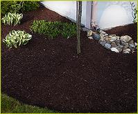 Diversified Lawn Services, LLC image 3