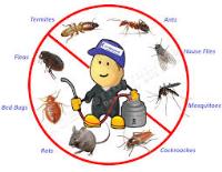 Dante Tapp Pest Control Service image 1