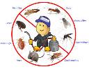 Dante Tapp Pest Control Service logo