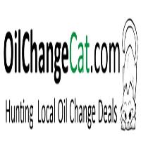 Oil Change Cat image 1