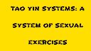 Tao Yin Systems logo