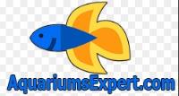 Aquariumsexpert.com LLC image 4