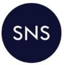 Slinde Nelson Stanford logo