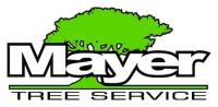 Mayer Tree Services image 1