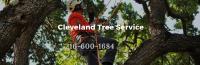 Cleveland Tree Service image 5