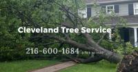 Cleveland Tree Service image 12