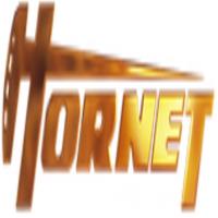 Hornet Oil and Gas Exploration image 1