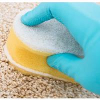 The Quality Touch Cleaning Service image 1