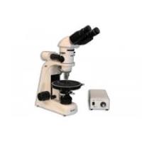 Microscope International image 3