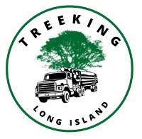 Tree King of Long Island image 1