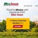 Mex Insur logo