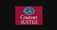 Comfort Suites Ogden Conference Center image 1