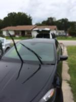 Windshields Today image 11