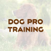 Dog Pro Training image 1