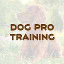 Dog Pro Training logo