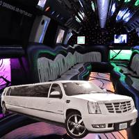 Chitown Limo Service Chicago image 1