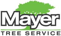 Mayer Tree Service image 1