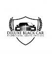 DELUXE BLACK CAR SERVICE logo