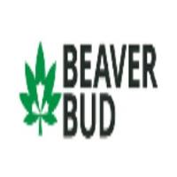 BeaverBud image 1