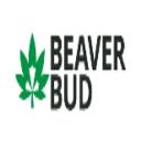 BeaverBud logo