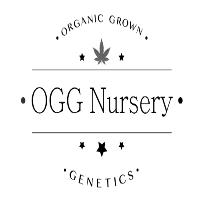OGG Nursery image 1