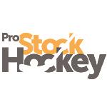 Pro Stock Hockey image 1