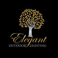 Elegant Outdoor Lighting image 1