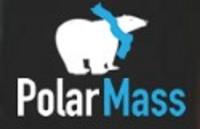 Polar Mass - San Diego Web Design Agency image 1