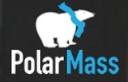 Polar Mass - San Diego Web Design Agency logo