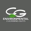 CG Environmental logo