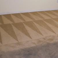 TMC Carpet Cleaning image 1