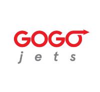 GOGO JETS - Chicago Private Jet Charter image 1