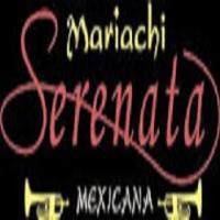 Mariachi Serenata Mexicana image 1