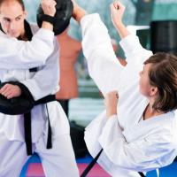 Troy Dorsey's Karate & Fitness - Kickboxing image 1