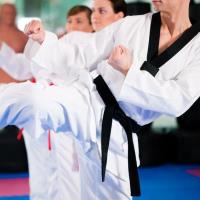Troy Dorsey's Karate & Fitness - Kickboxing image 2