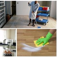 Texas Green Cleaning Services image 1