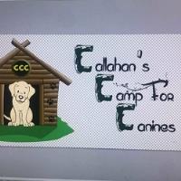 Callahan’s Camp For Canines, LLC image 1