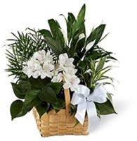 Funeral Flowers image 1