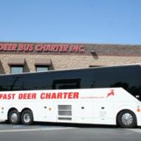 Fast Deer Bus Charter image 1