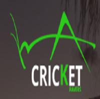 Cricket Pavers of Wellington image 1