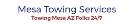 Mesa Towing Services logo