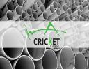 Cricket Pavers of Palmetto Bay logo