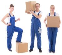 Best Movers image 3