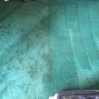 Drymaster Carpet & Upholstery Cleaning image 2