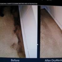 Drymaster Carpet & Upholstery Cleaning image 3